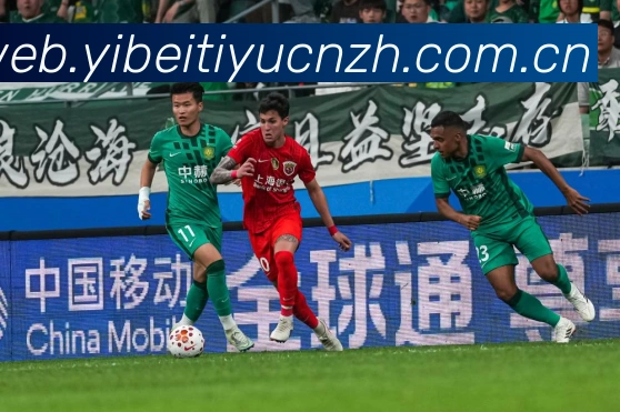 关于易倍体育